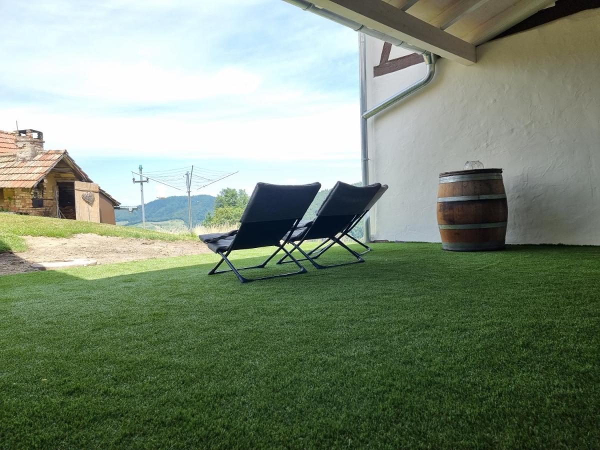 Вілла Haus Am Berg Mit Wellnessbereich, Bar Und Panorama Бюлерталь Екстер'єр фото