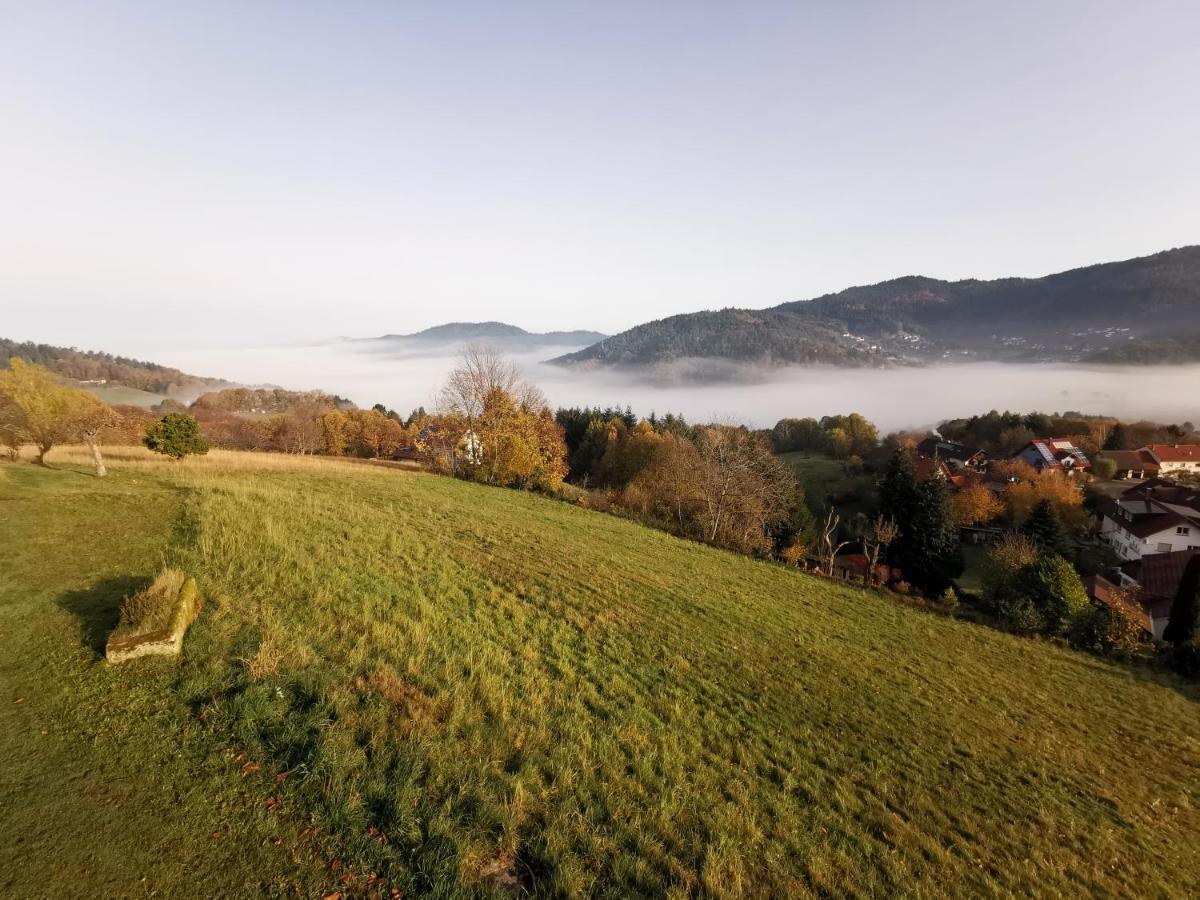 Вілла Haus Am Berg Mit Wellnessbereich, Bar Und Panorama Бюлерталь Екстер'єр фото