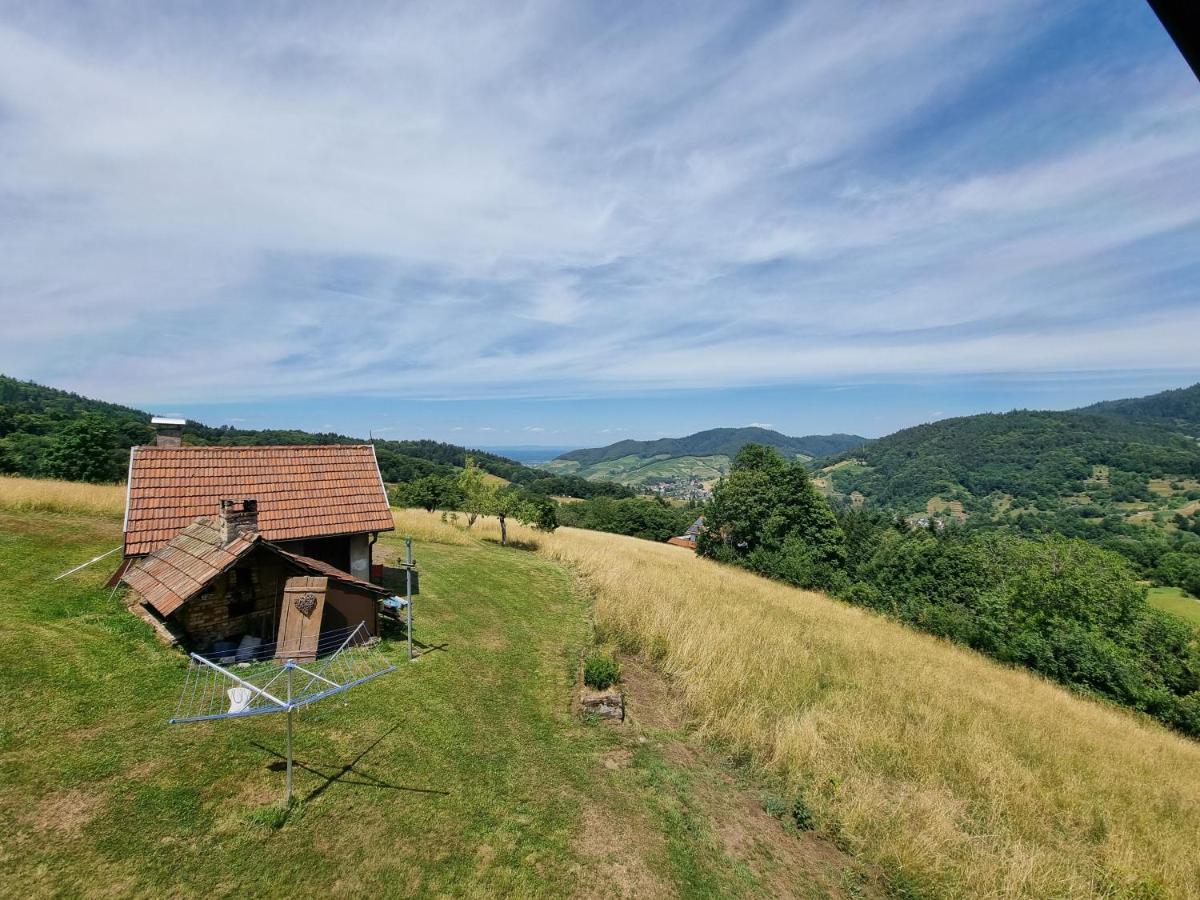 Вілла Haus Am Berg Mit Wellnessbereich, Bar Und Panorama Бюлерталь Екстер'єр фото