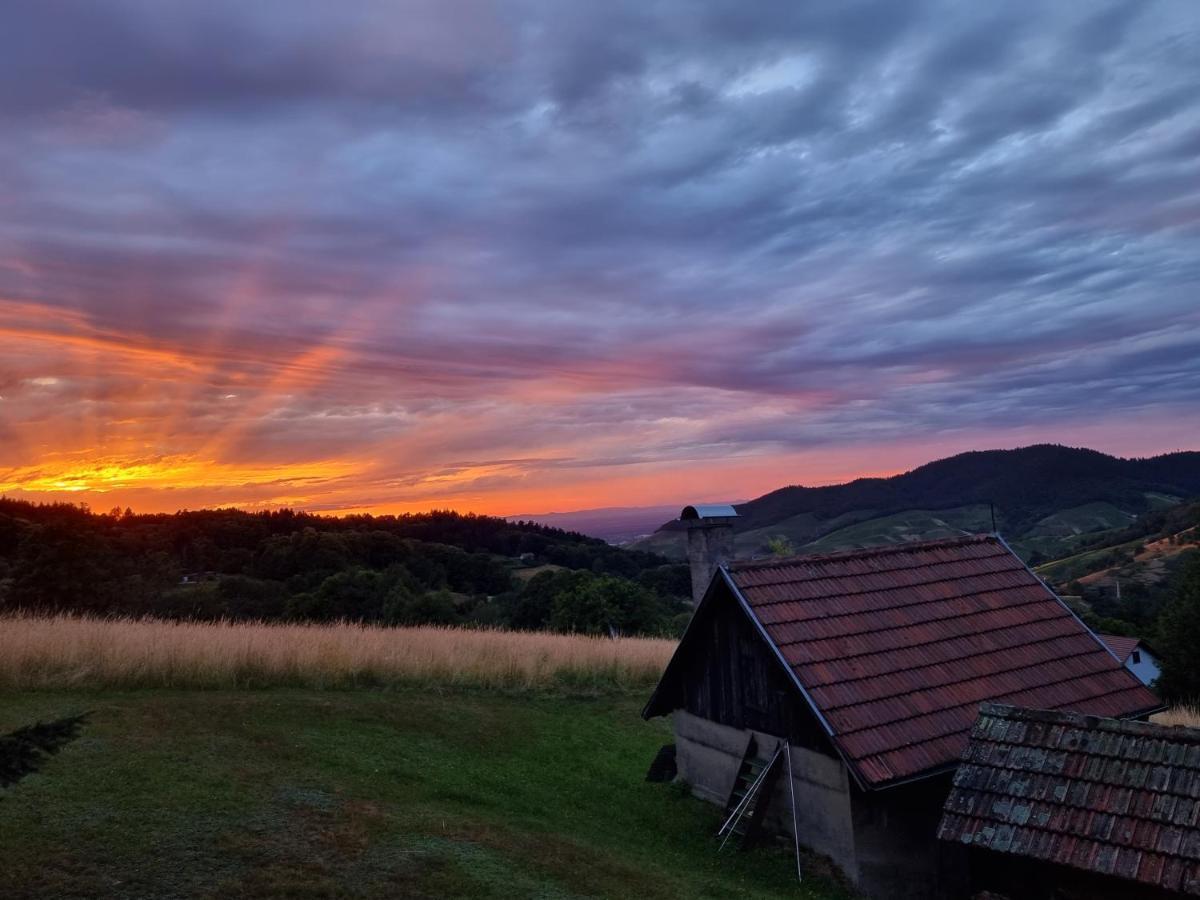 Вілла Haus Am Berg Mit Wellnessbereich, Bar Und Panorama Бюлерталь Екстер'єр фото